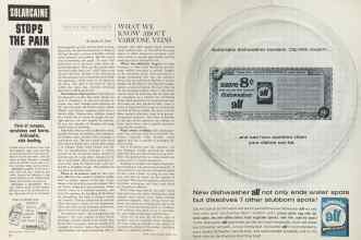 Better Homes & Gardens March 1964 Magazine Article: Page 36