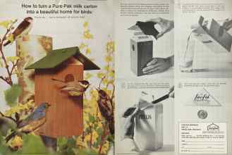 Better Homes & Gardens March 1964 Magazine Article: Page 38