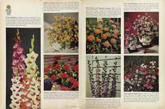 Better Homes & Gardens March 1964 Magazine Article: Page 60