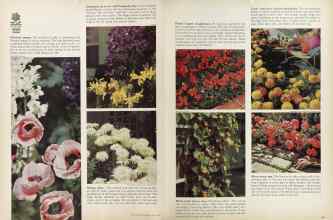 Better Homes & Gardens March 1964 Magazine Article: Page 62