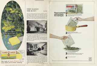Better Homes & Gardens March 1964 Magazine Article: Page 100
