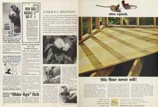 Better Homes & Gardens March 1964 Magazine Article: Page 114