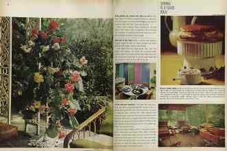 Better Homes & Gardens April 1964 Magazine Article: Page 58