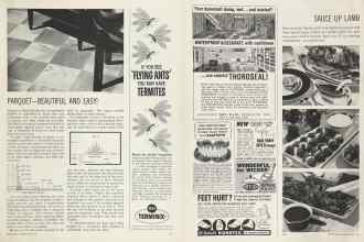 Better Homes & Gardens April 1964 Magazine Article: Page 111