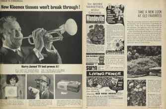 Better Homes & Gardens April 1964 Magazine Article: Page 135