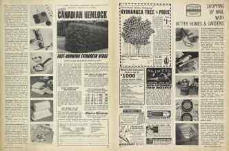 Better Homes & Gardens April 1964 Magazine Article: Page 139