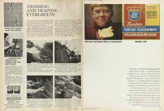 Better Homes & Gardens June 1964 Magazine Article: Page 28
