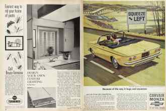 Better Homes & Gardens June 1964 Magazine Article: Page 30