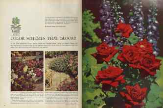 Better Homes & Gardens June 1964 Magazine Article: COLOR SCHEMES THAT BLOOM!