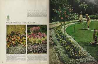Better Homes & Gardens June 1964 Magazine Article: Page 48