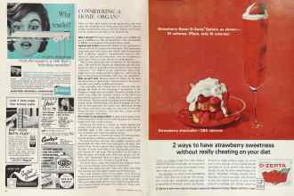 Better Homes & Gardens June 1964 Magazine Article: Page 84