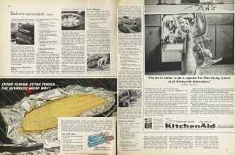 Better Homes & Gardens June 1964 Magazine Article: Page 100