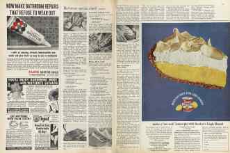 Better Homes & Gardens June 1964 Magazine Article: Page 102