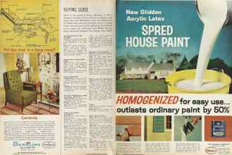 Better Homes & Gardens June 1964 Magazine Article: Page 106