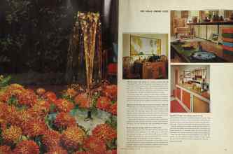 Better Homes & Gardens July 1964 Magazine Article: Page 36