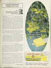 Better Homes & Gardens August 1964 Magazine Article: AUGUST GARDENING WHERE YOU LIVE!