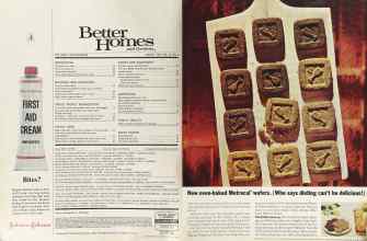 Better Homes & Gardens August 1964 Magazine Article: Page 4