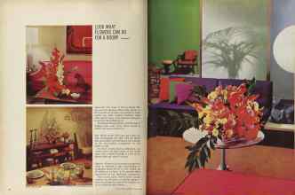 Better Homes & Gardens August 1964 Magazine Article: Page 52