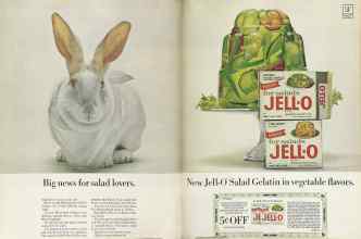 Better Homes & Gardens August 1964 Magazine Article: Page 68