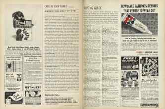 Better Homes & Gardens August 1964 Magazine Article: Page 84