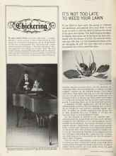 Better Homes & Gardens September 1964 Magazine Article: IT'S NOT TOO LATE TO WEED YOUR LAWN