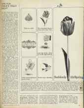 Better Homes & Gardens October 1964 Magazine Article: TIPS FOR TRICK'R TREAT NIGHT