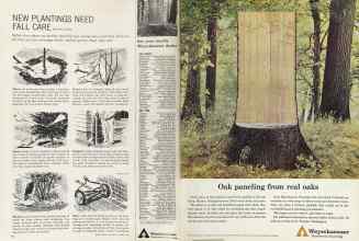 Better Homes & Gardens October 1964 Magazine Article: Page 30