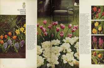 Better Homes & Gardens October 1964 Magazine Article: Page 64