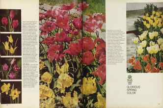 Better Homes & Gardens October 1964 Magazine Article: Page 66