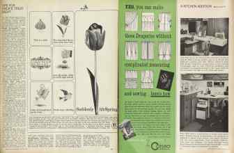 Better Homes & Gardens October 1964 Magazine Article: Page 141