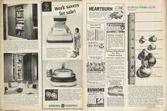 Better Homes & Gardens October 1964 Magazine Article: Page 143