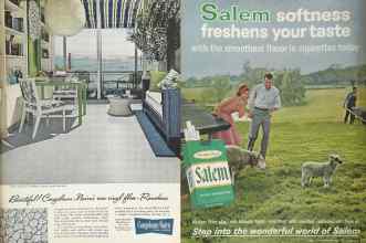 Better Homes & Gardens October 1964 Magazine Article: Page 151