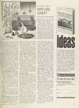 Better Homes & Gardens November 1964 Magazine Article: NATURE CRAFT