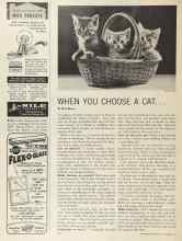 Better Homes & Gardens November 1964 Magazine Article: WHEN YOU CHOOSE A CAT ...
