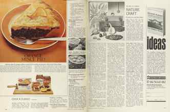 Better Homes & Gardens November 1964 Magazine Article: Page 120