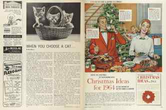 Better Homes & Gardens November 1964 Magazine Article: Page 144