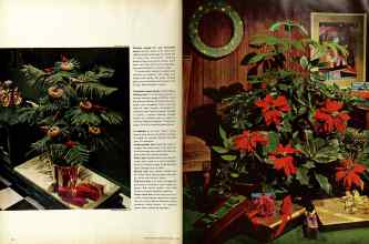 Better Homes & Gardens December 1964 Magazine Article: Page 46