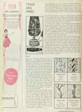 Better Homes & Gardens March 1965 Magazine Article: TREES AND VINES FOR EVERY SETTING