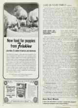 Better Homes & Gardens March 1965 Magazine Article: SURE SIGNS YOU NEED NEW SHOCK ABSORBERS
