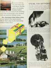 Better Homes & Gardens March 1965 Magazine Article: SPECIAL FOR BIRTHDAYS