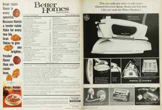 Better Homes & Gardens March 1965 Magazine Article: Page 4