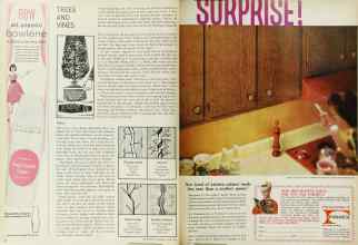 Better Homes & Gardens March 1965 Magazine Article: Page 22