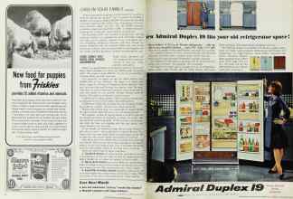 Better Homes & Gardens March 1965 Magazine Article: Page 32