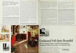 Better Homes & Gardens March 1965 Magazine Article: Page 38
