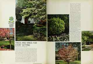 Better Homes & Gardens March 1965 Magazine Article: Page 56