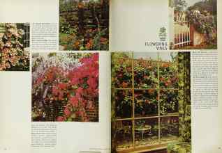 Better Homes & Gardens March 1965 Magazine Article: Page 58
