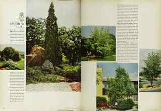 Better Homes & Gardens March 1965 Magazine Article: Page 60
