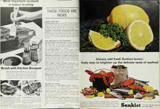 Better Homes & Gardens March 1965 Magazine Article: Page 98