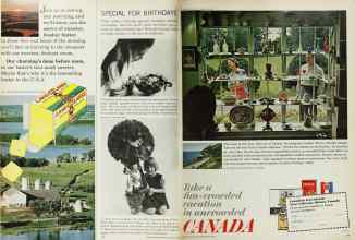 Better Homes & Gardens March 1965 Magazine Article: Page 116