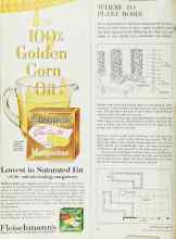 Better Homes & Gardens April 1965 Magazine Article: WHERE TO PLANT ROSES